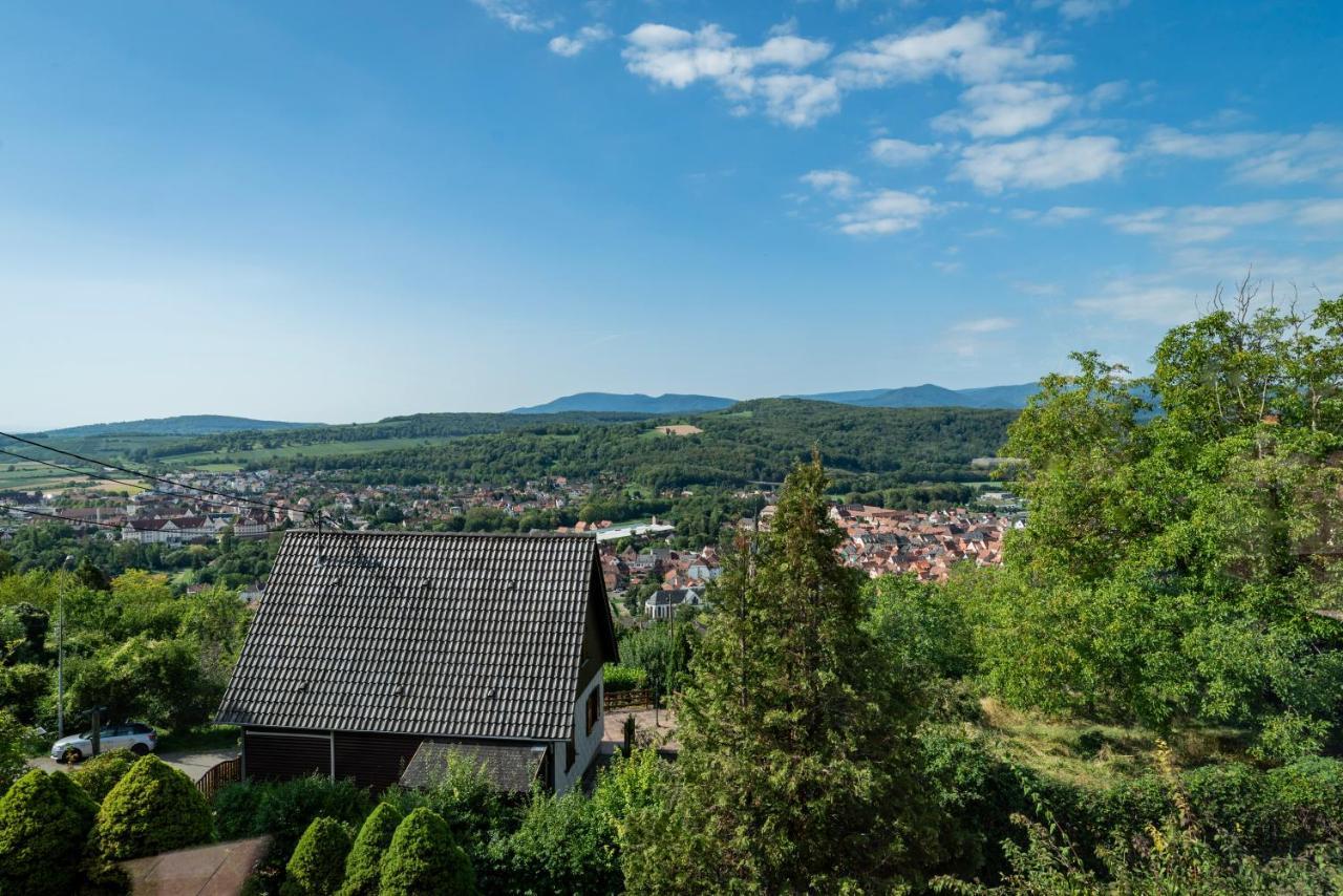 Le Grand Nichoir De La Colline - Parking - Wifi Villa Mutzig Bagian luar foto